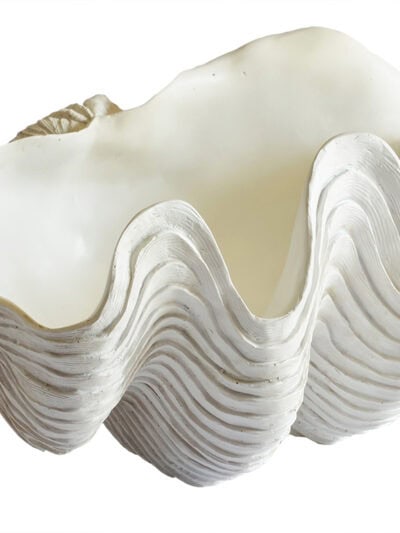 Giant Clam Shell