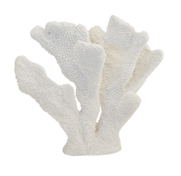 Coastal Coral