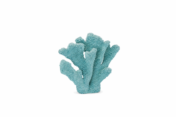 Coastal Coral Green/Blue