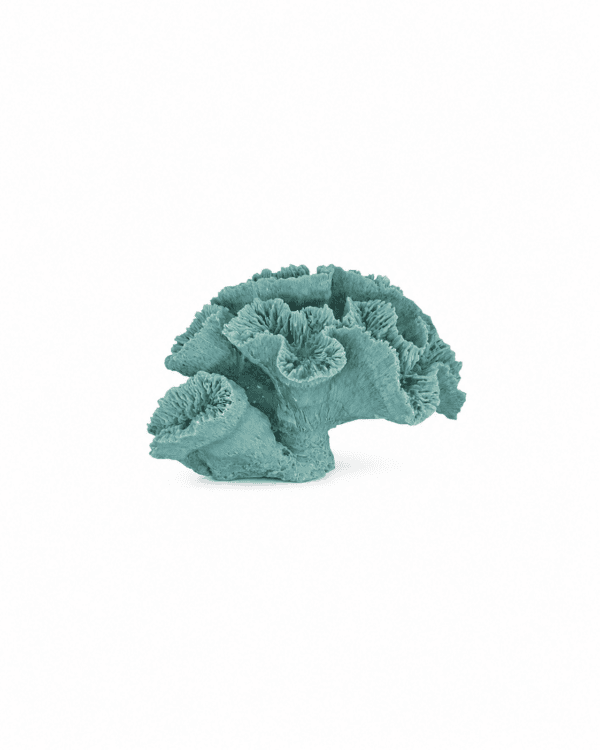 Ocean Bloom Coral