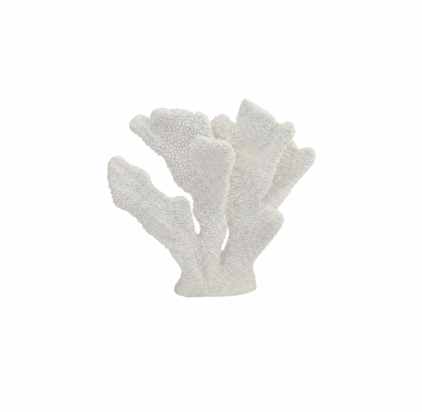 Coastal Coral